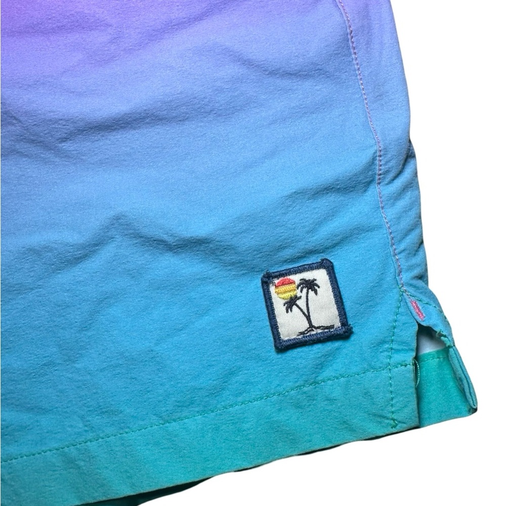 Marine Layer Ombré Swim Trunks size Small - Picture 3 of 6